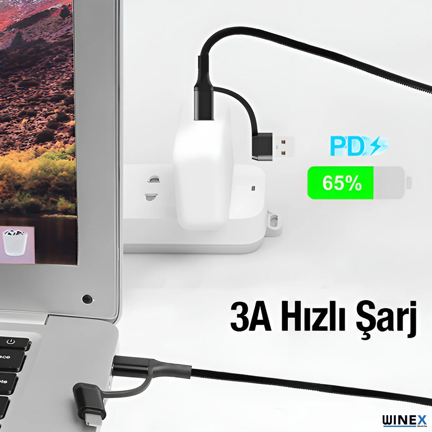 Winex 100W 4in1 Type-C - USB - Lightning - Type-C Çıkışlı Hızlı Data ve Şarj Kablosu Siyah
