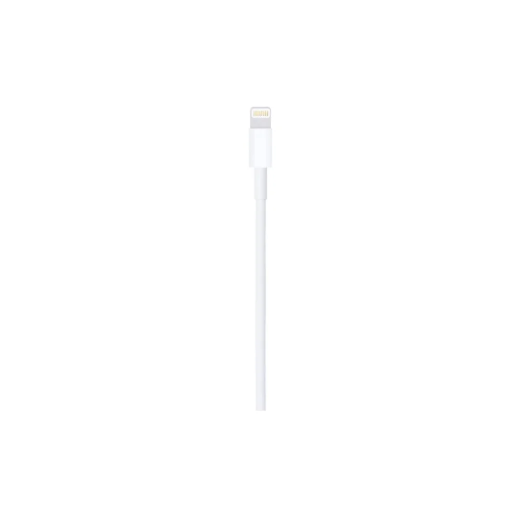 Apple USBA to Lightning Kablo 2m MD819ZM/A Apple Türkiye Garantili
